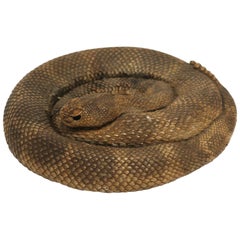 Vintage Coiled Rattle Snake, circa 1980s USA