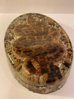 Rattlesnake aus Harz