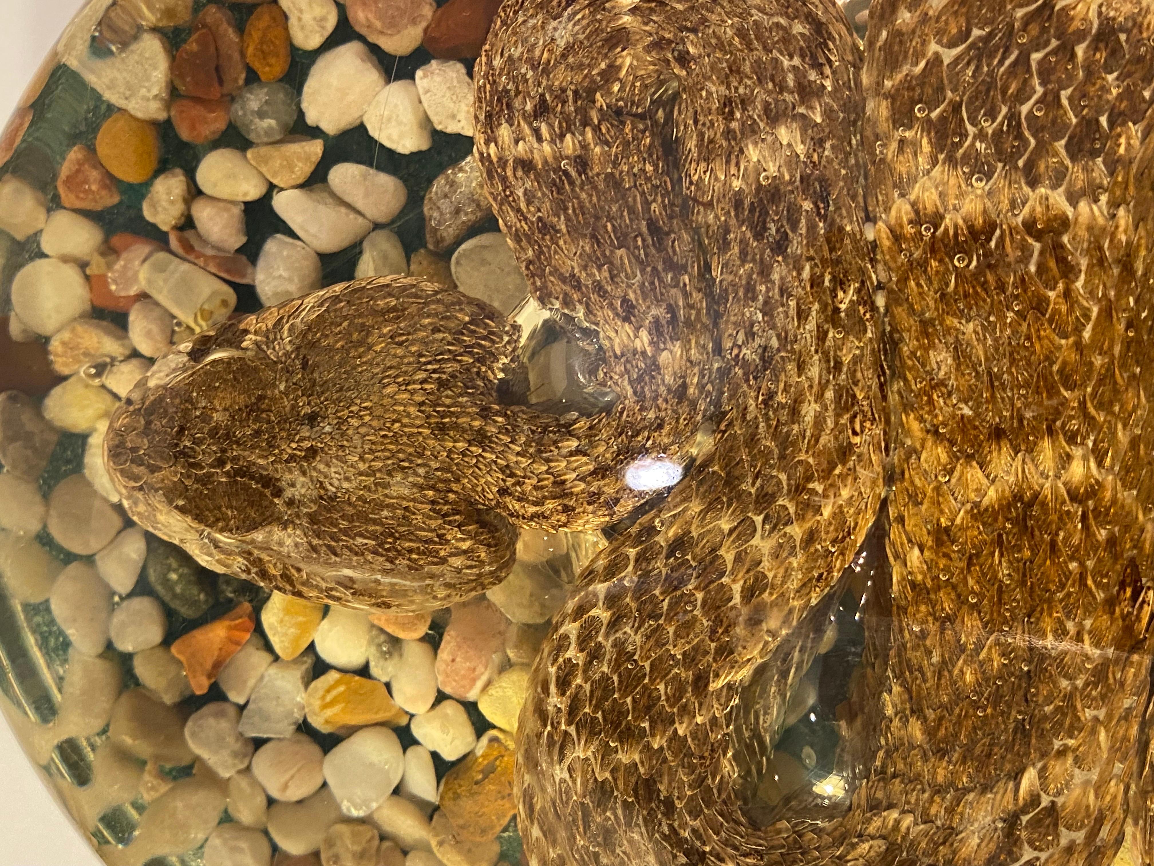 Mid-Century Modern Rattlesnake in Resin