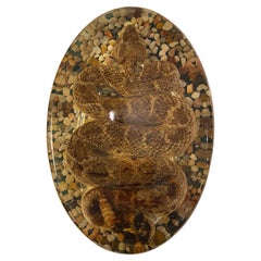 Rattlesnake in Resin