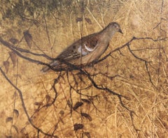 Naturalistic Earth Toned Rural Texas Landscape Oil Painting of a Bird