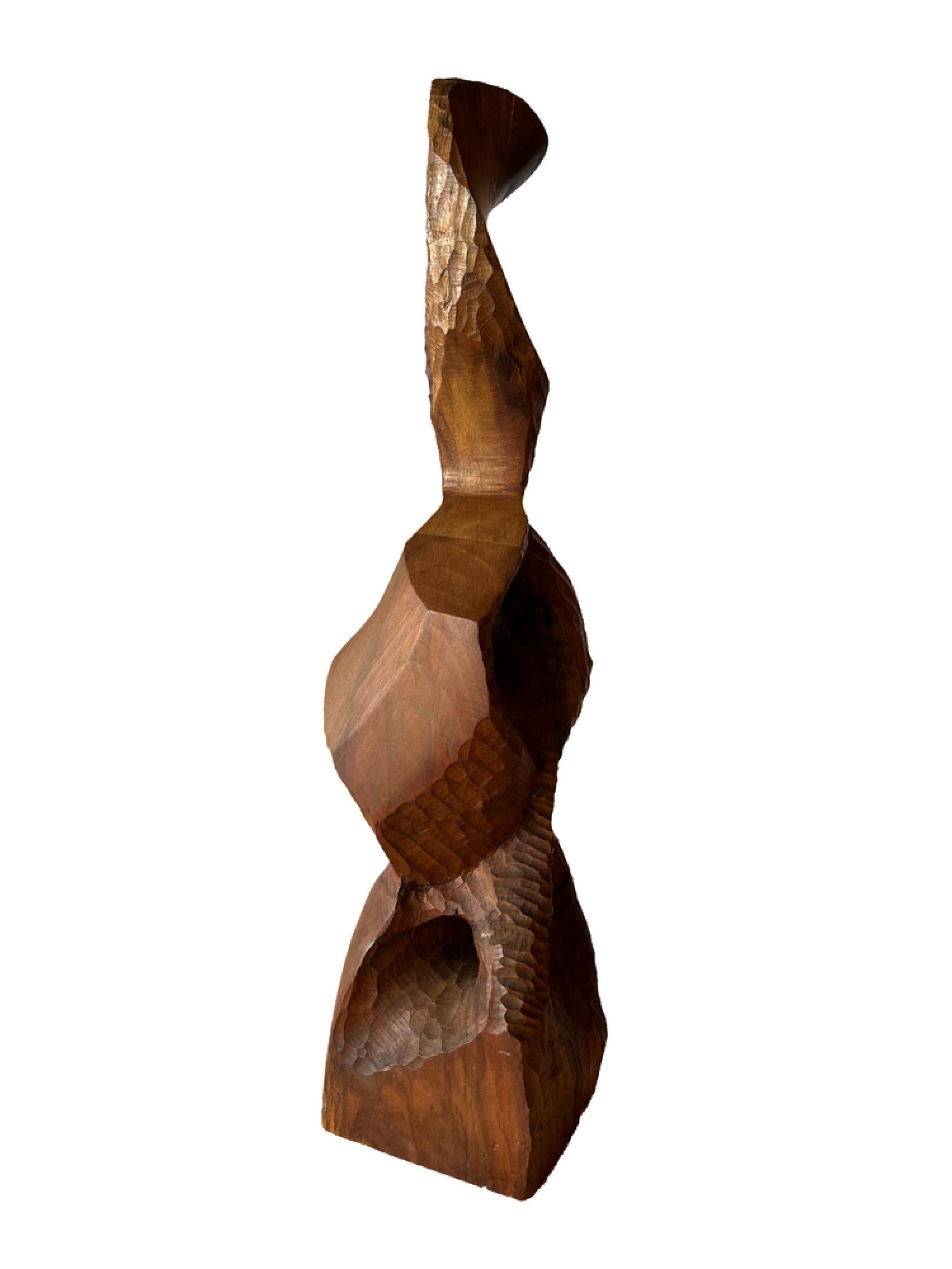 Hand-Crafted Raul Varnerin Contemporary Argentine Abstract Wood Sculpture For Sale
