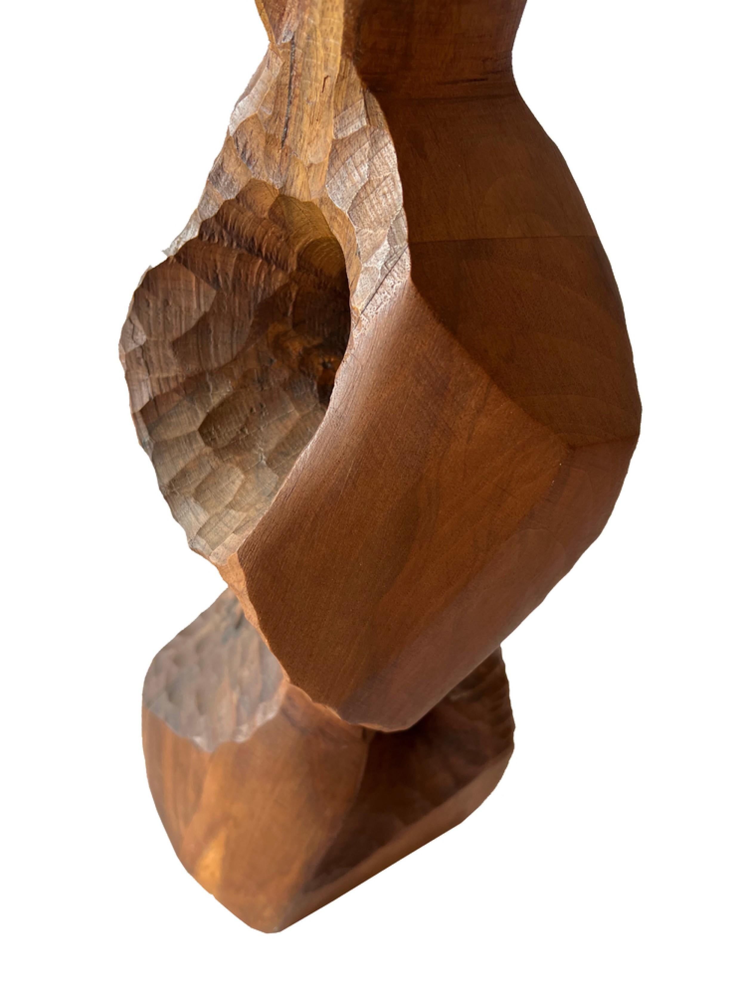 Raul Varnerin Contemporary Argentine Abstract Wood Sculpture For Sale 1