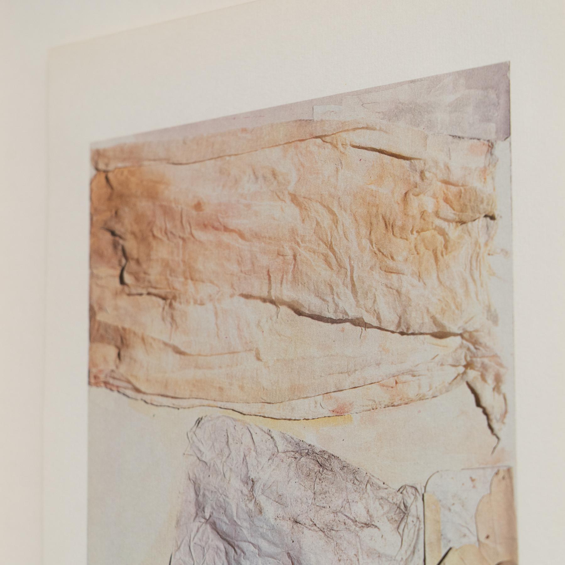 Rauschenberg Framed Limited Edition Photolithography, circa 1970 In Good Condition For Sale In Barcelona, Barcelona