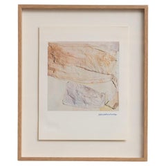 Fotolitografía enmarcada de edición limitada de Rauschenberg, hacia 1970
