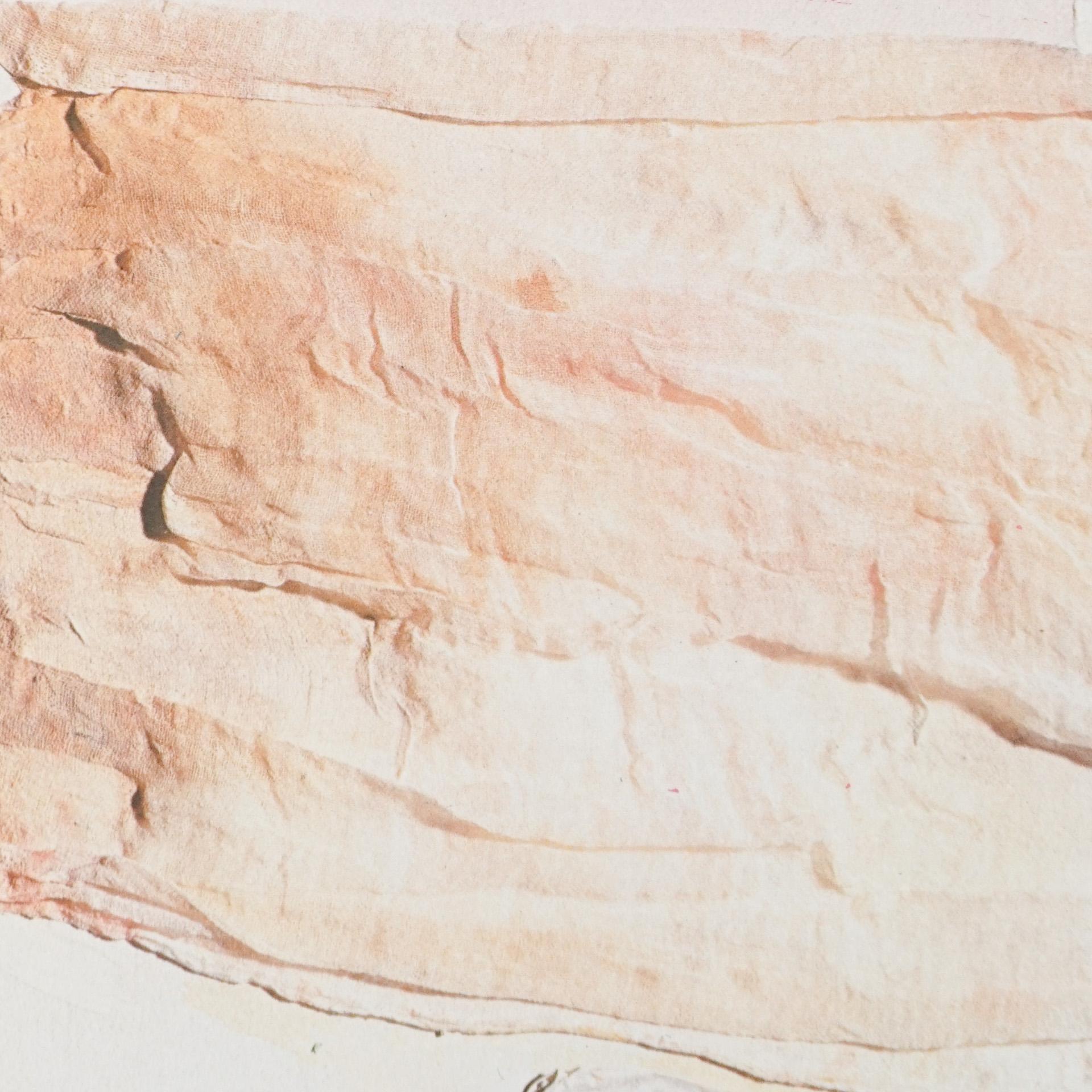 Late 20th Century Rauschenberg, Limited Edition Photolithography, circa 1970