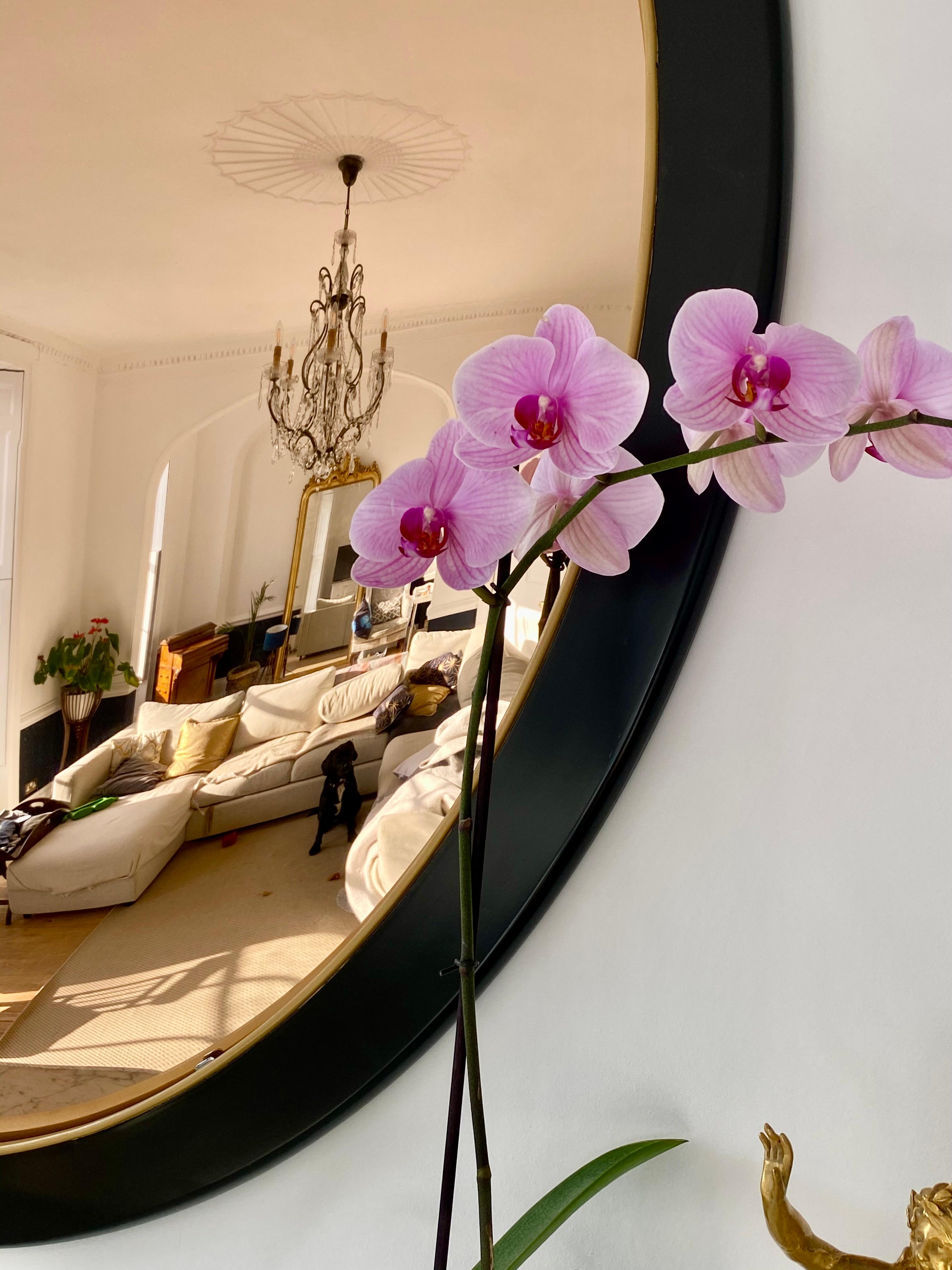 Contemporary Ravello Nero Convex Mirror 52