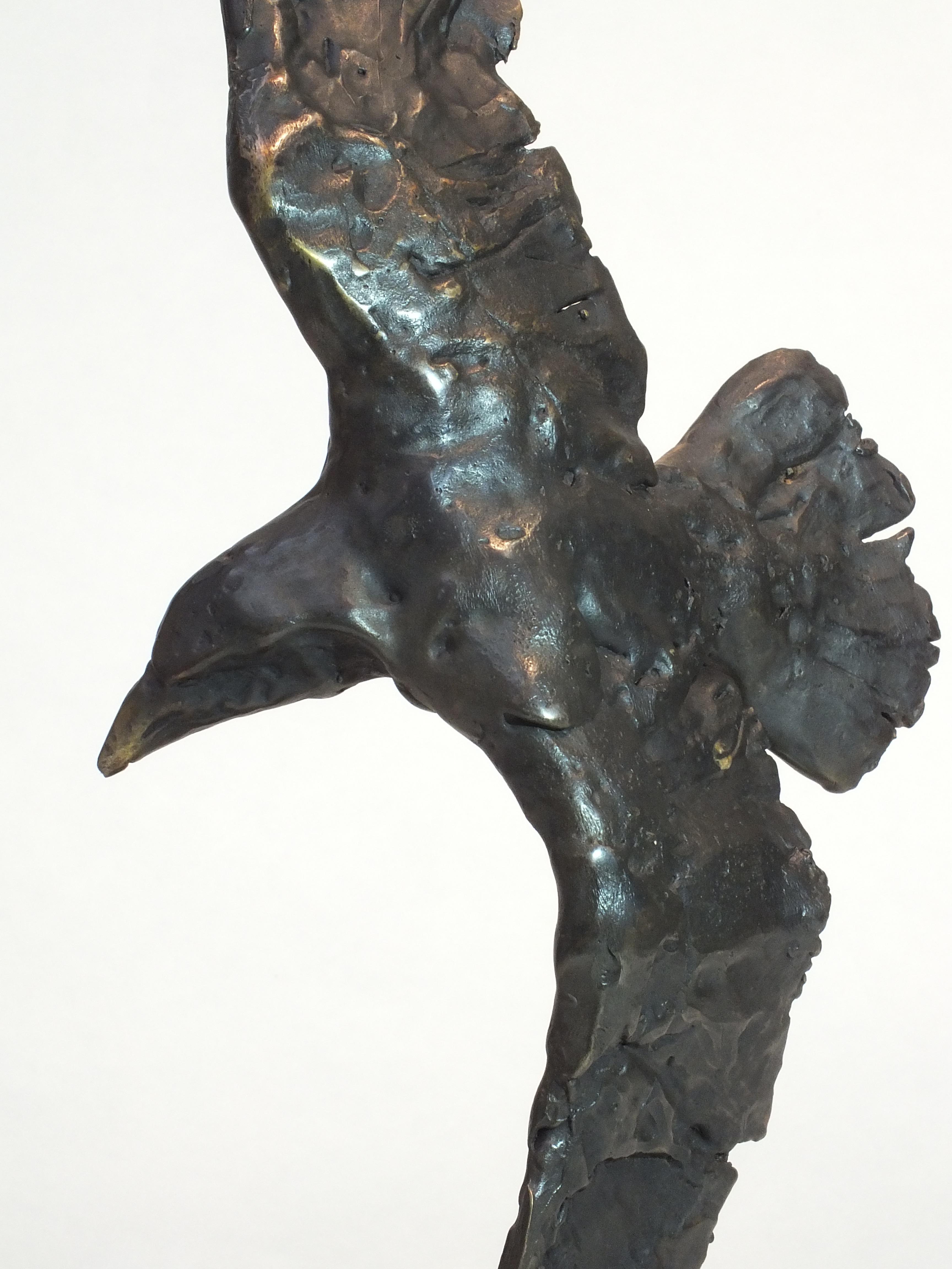 For thousands of years the raven has been a symbol of mystery and magic, its glossy black feathers scintillating with reflected light adding to its aura. This lovely bronze from artist Tim Rawlin's studio in the equally magical & mysterious Black