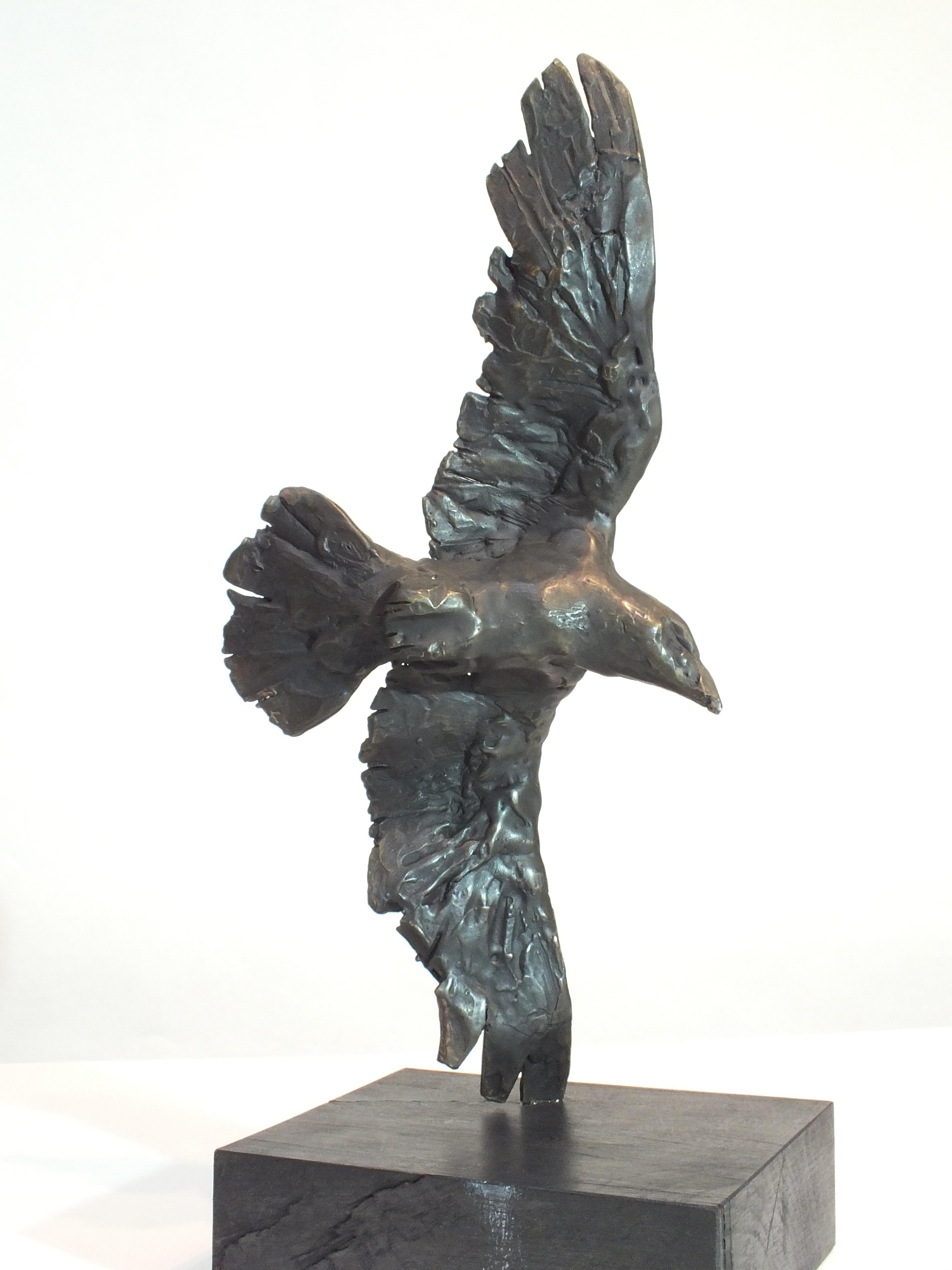 English Raven, Dominion Series Bronze Sculpture