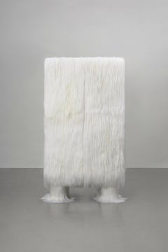 Cabinet brut par Atelier V.I.I.