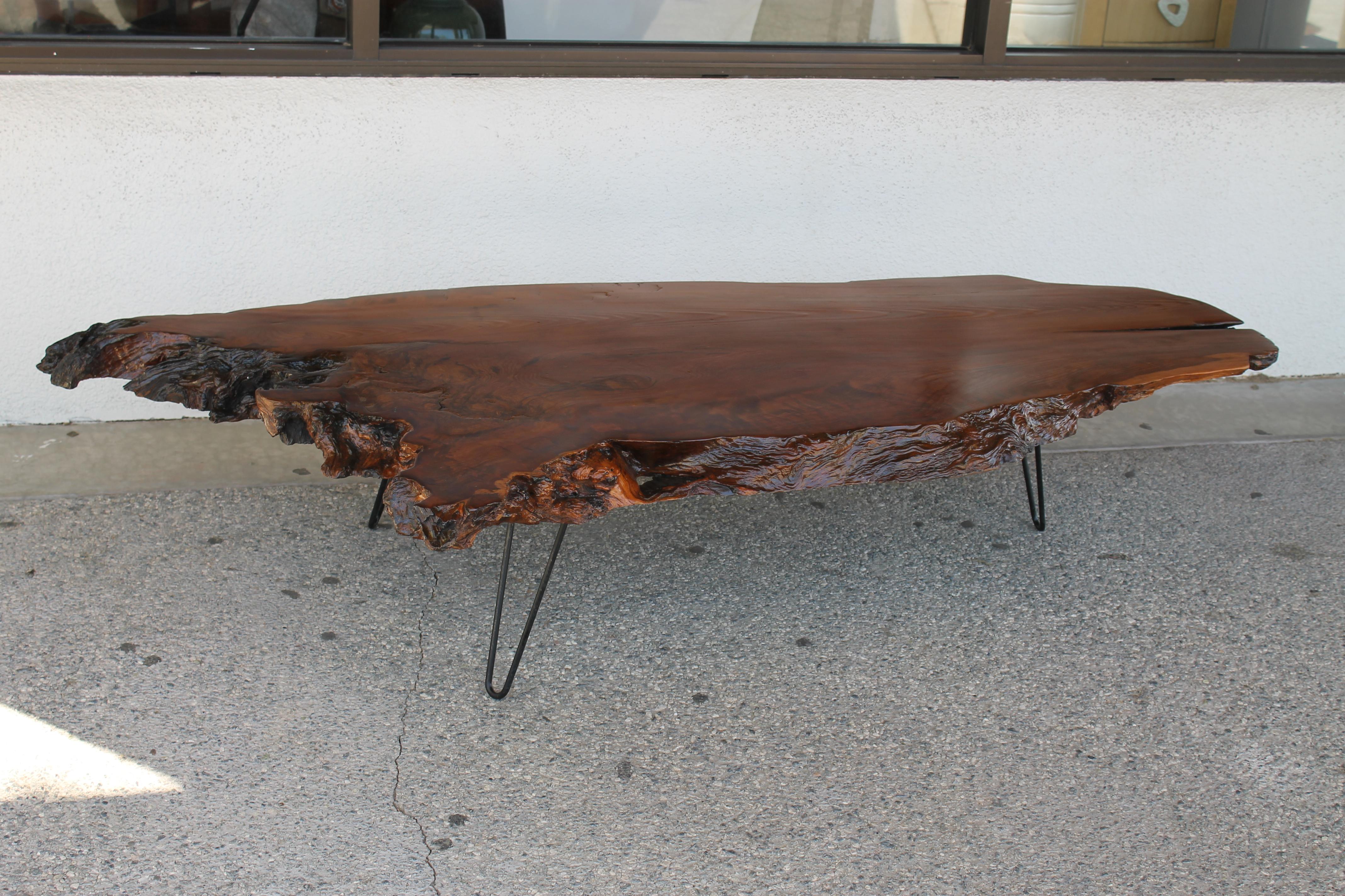 A circa 1979 redwood burl slab table with bark edges. Professionally refinished with hairpin legs. Table measures approximately 74