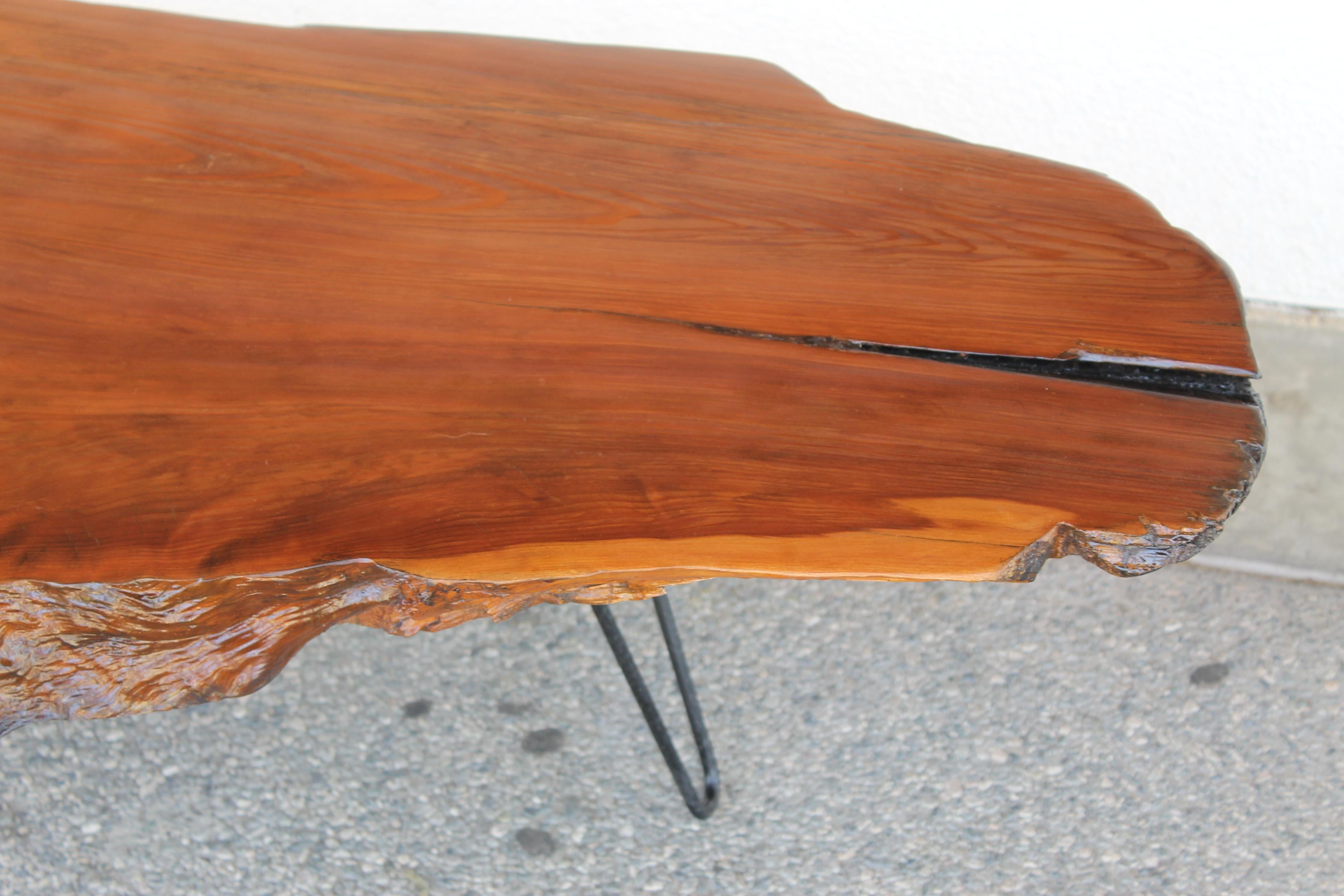 Adirondack Raw Edge Redwood Burl Slab Coffee Table