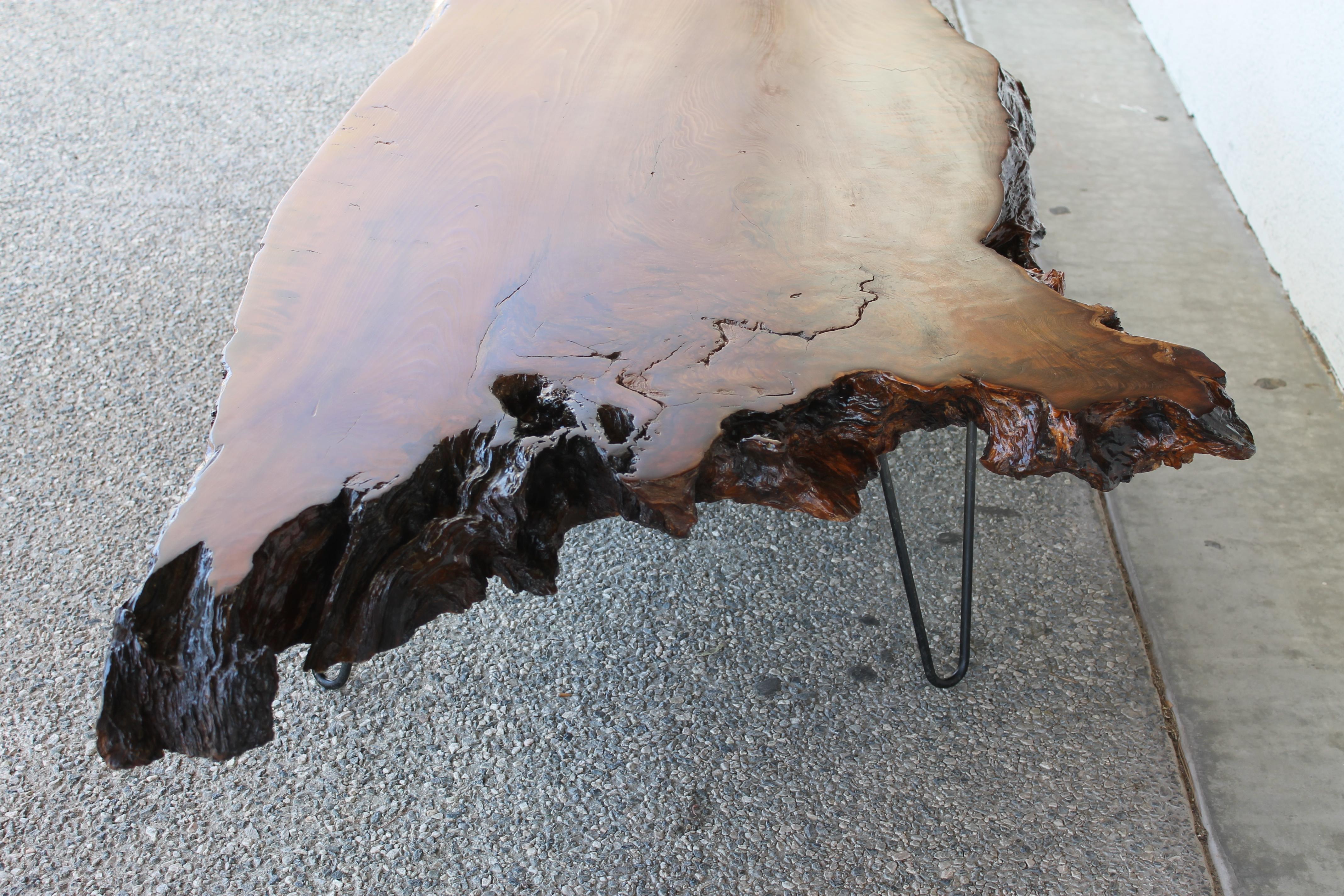 American Raw Edge Redwood Burl Slab Coffee Table