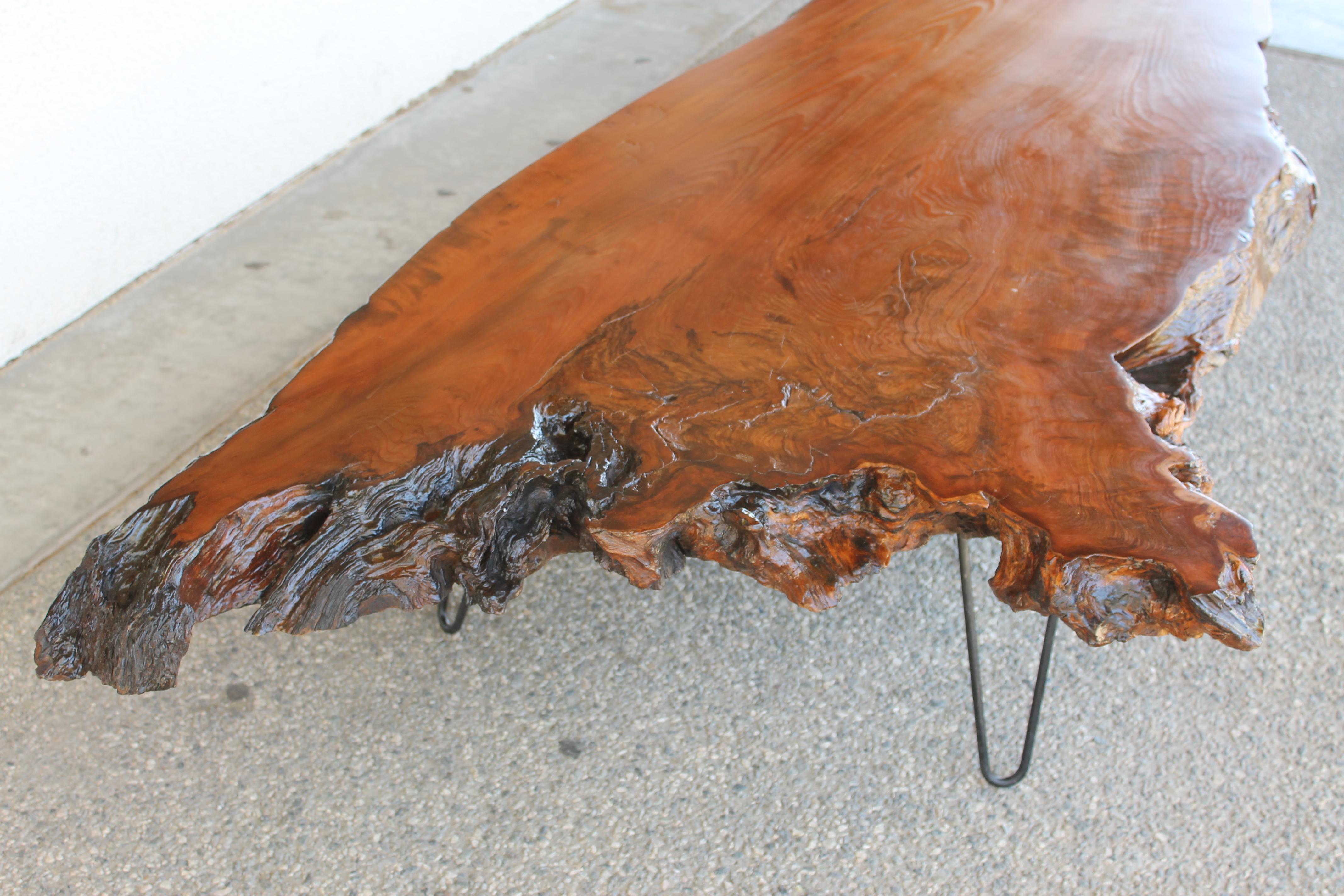 Raw Edge Redwood Burl Slab Coffee Table In Good Condition In Palm Springs, CA