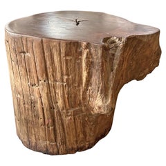 Raw Organic Solid Iron Wood Side Table 