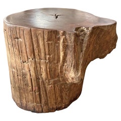 Raw Organic Solid Iron Wood Side Table