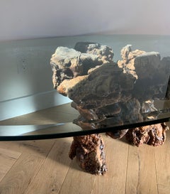 Raw Root Driftwood Burl Wood Coffee Table with Glass Top, 1970s