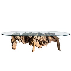 Raw Root driftWood Coffee Table, circa 1970s