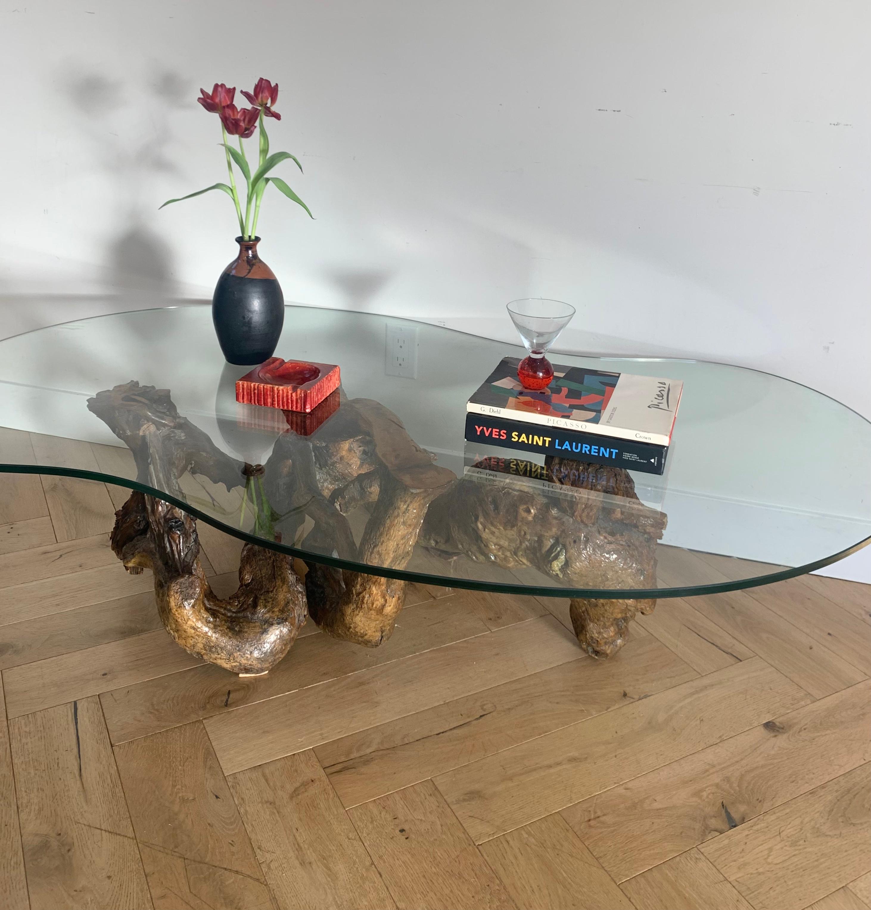 Raw Root Wood Coffee Table with Biomorphic Glass Top, 1970s 11