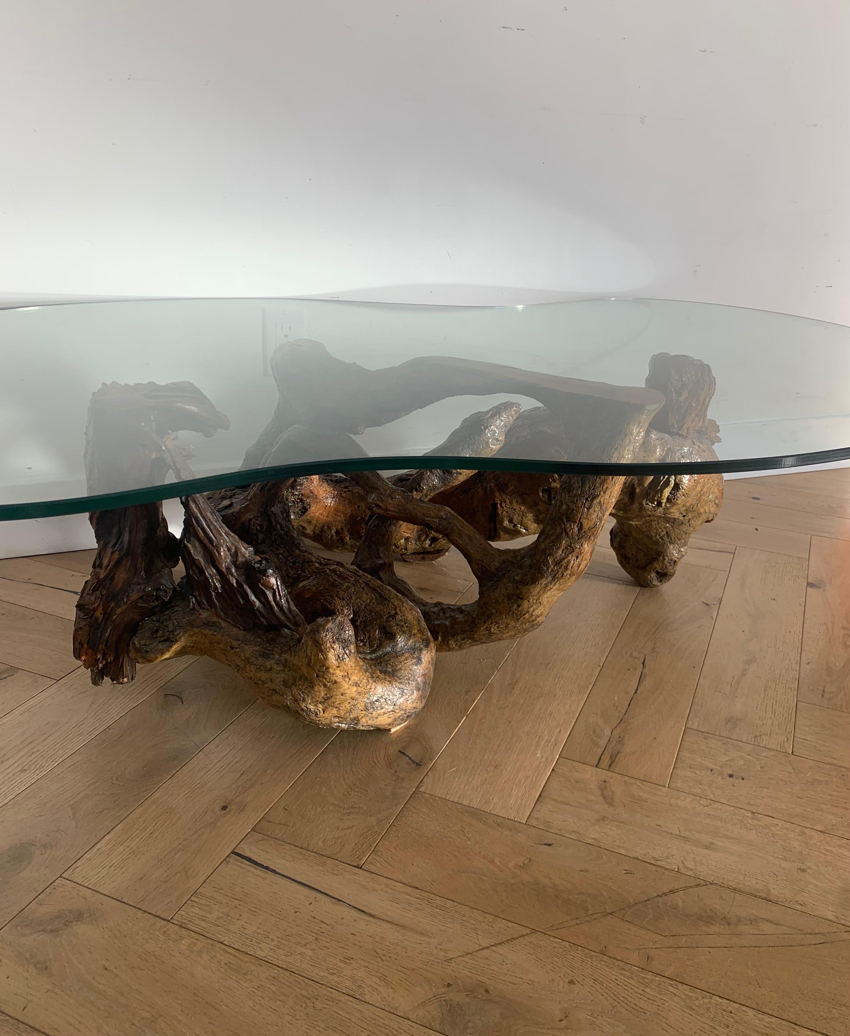 Mid-Century Modern Raw Root Wood Coffee Table with Biomorphic Glass Top, 1970s