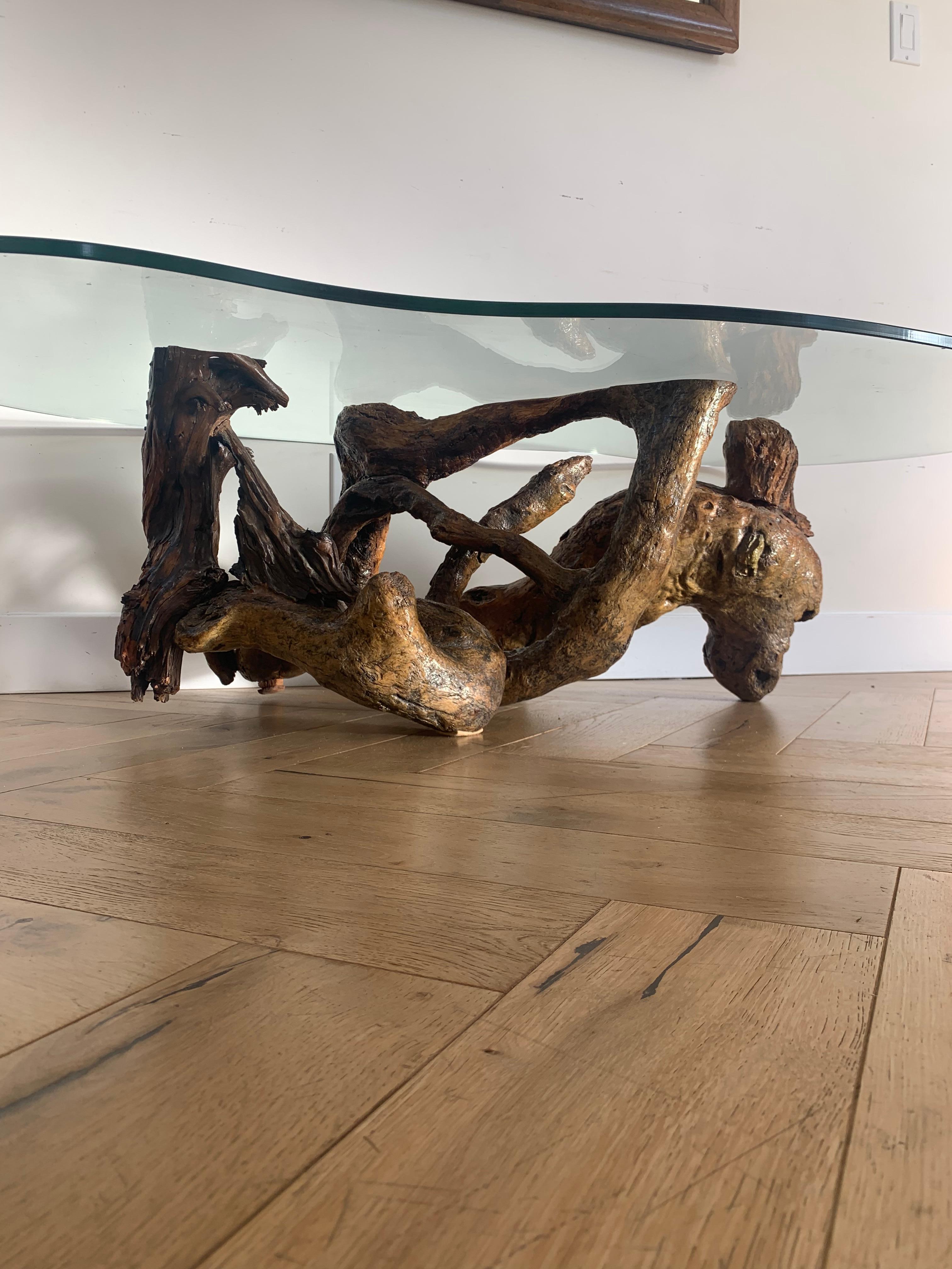 North American Raw Root Wood Coffee Table with Biomorphic Glass Top, 1970s