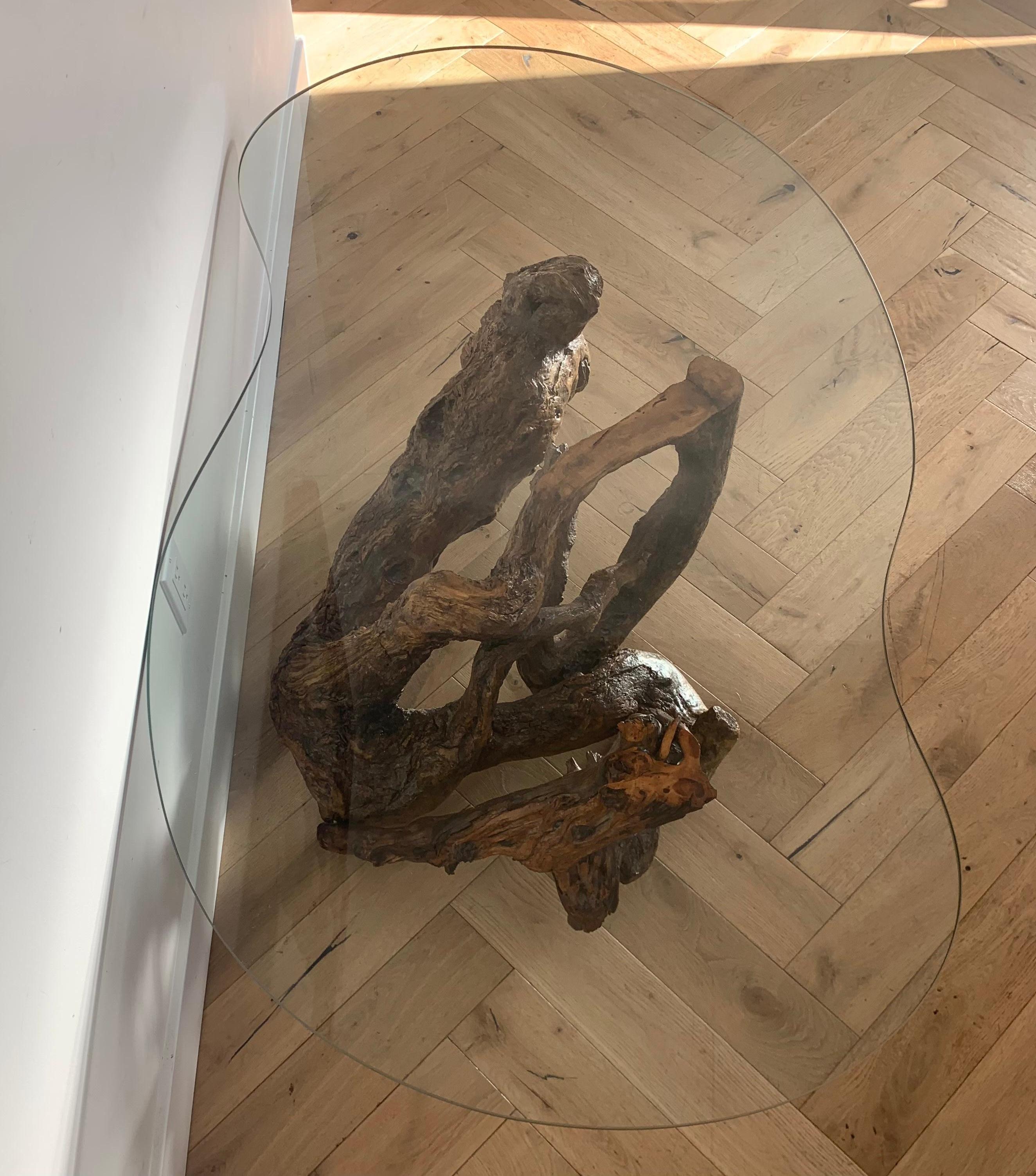 Raw Root Wood Coffee Table with Biomorphic Glass Top, 1970s 1