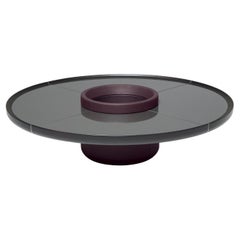 Ray Ash Wood With Leather Base and Glass inserts Coffee Table