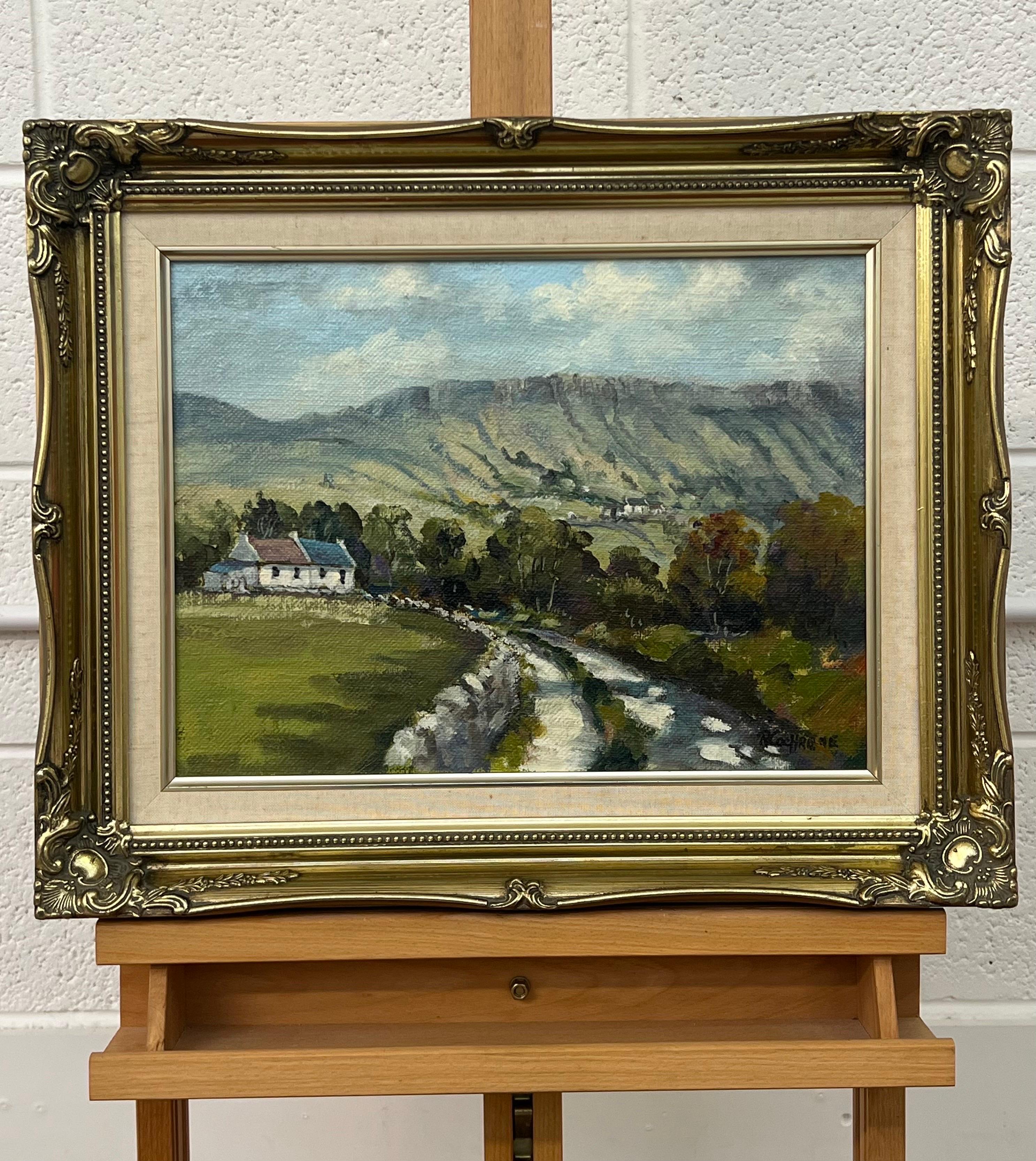 Vintage Post-Impressionist Oil Painting of Ireland Countryside by 20th Century Irish Artist, Ray Cochrane. 

Art measures 16 x 12 inches 
Frame measures 21 x 17 inches 

This impressionistic 1980's vintage original is signed and presented in a