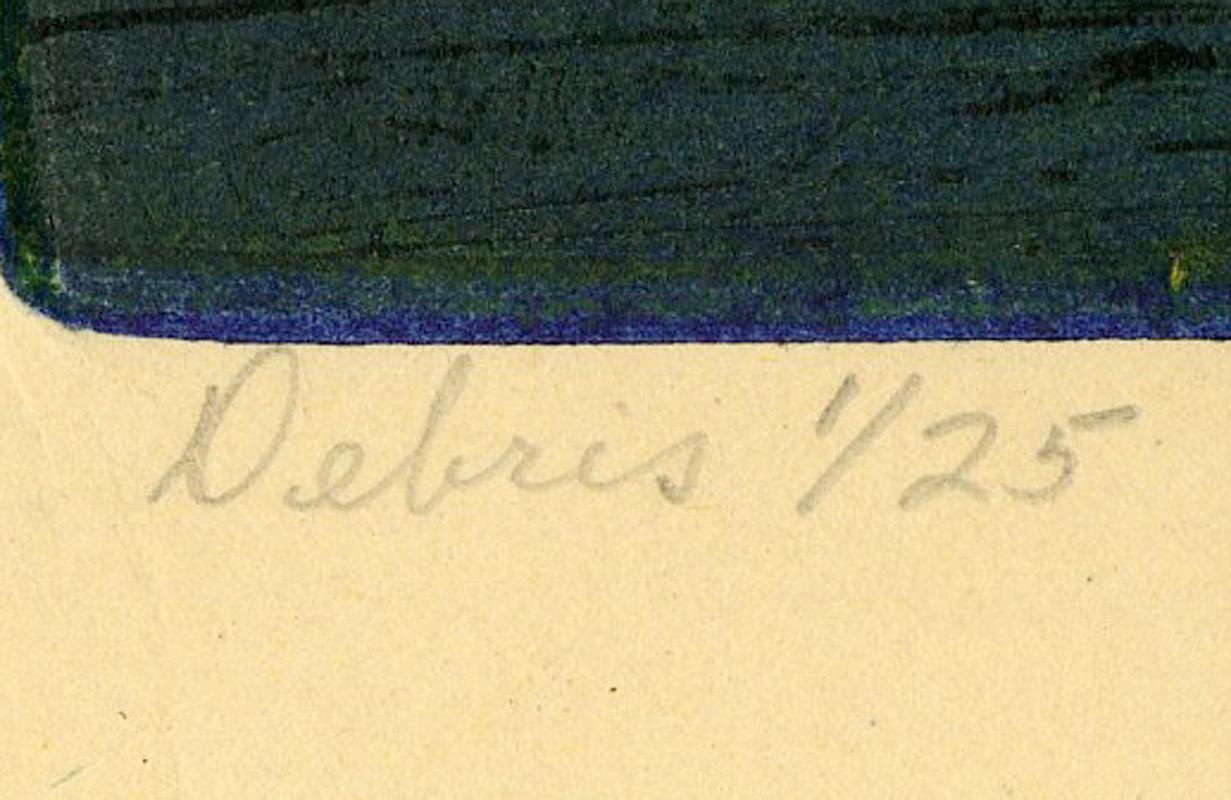 Debris For Sale 3