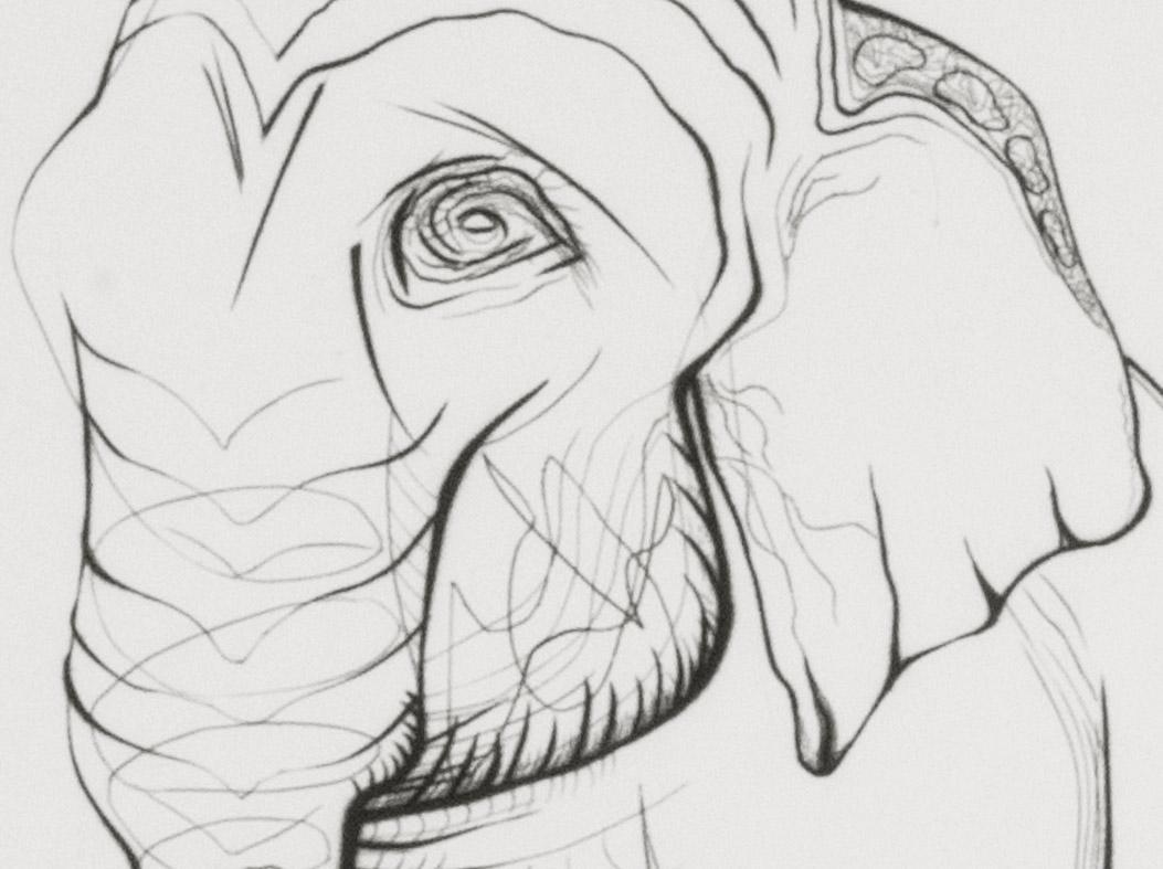 Elefante - Print di Ray H. French