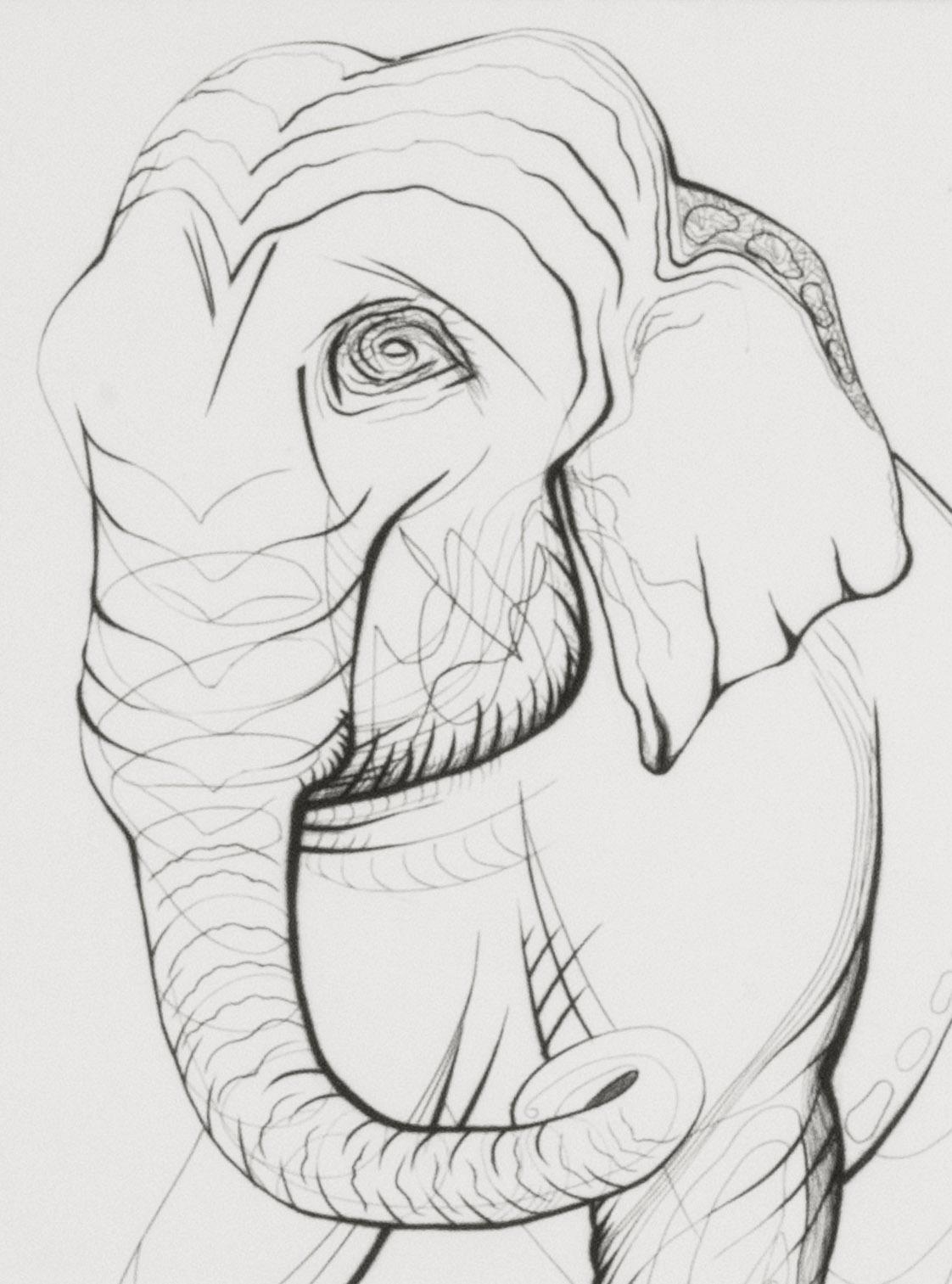Elefante - Print American Modern di Ray H. French
