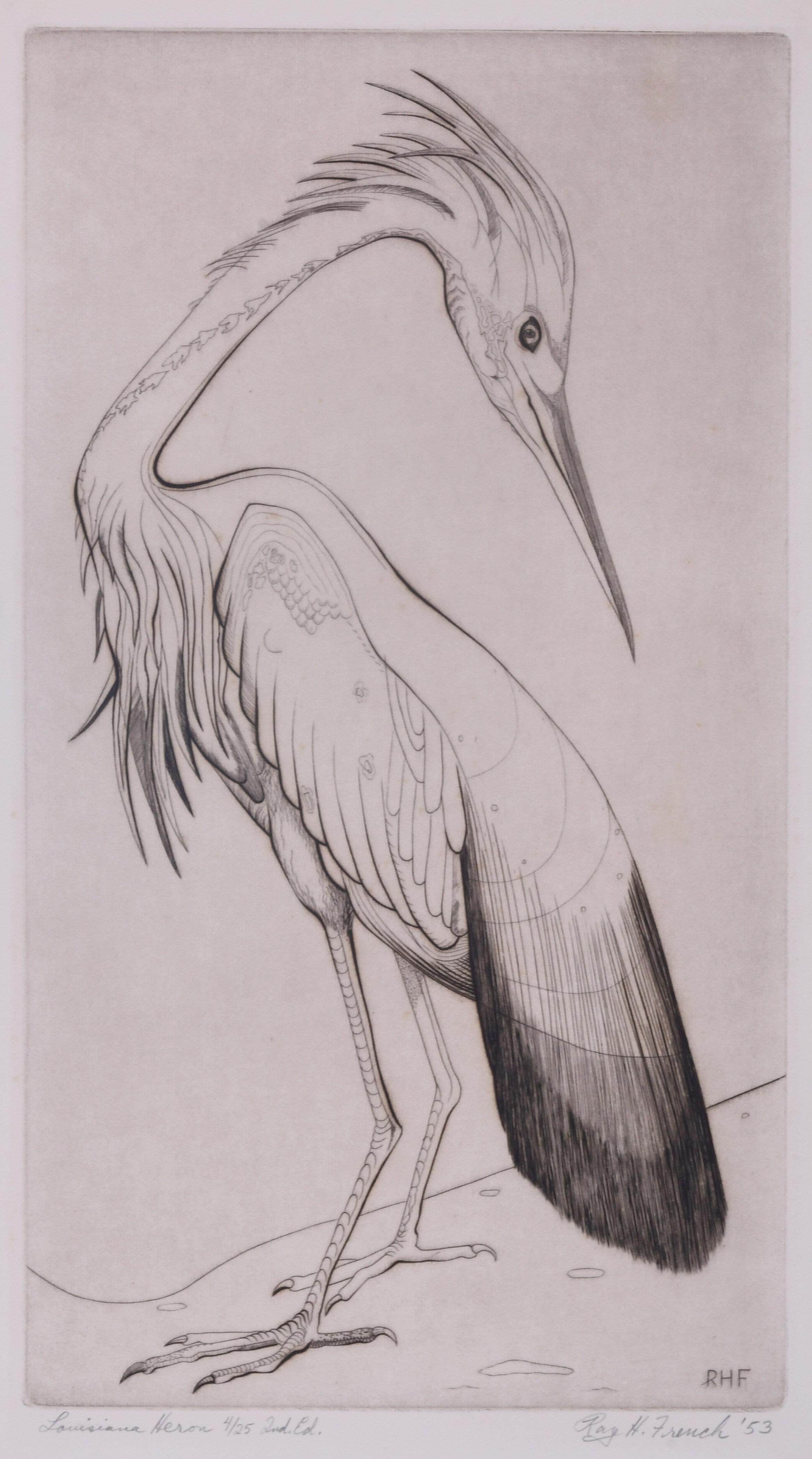 Ray H. French Animal Print - Louisiana Heron