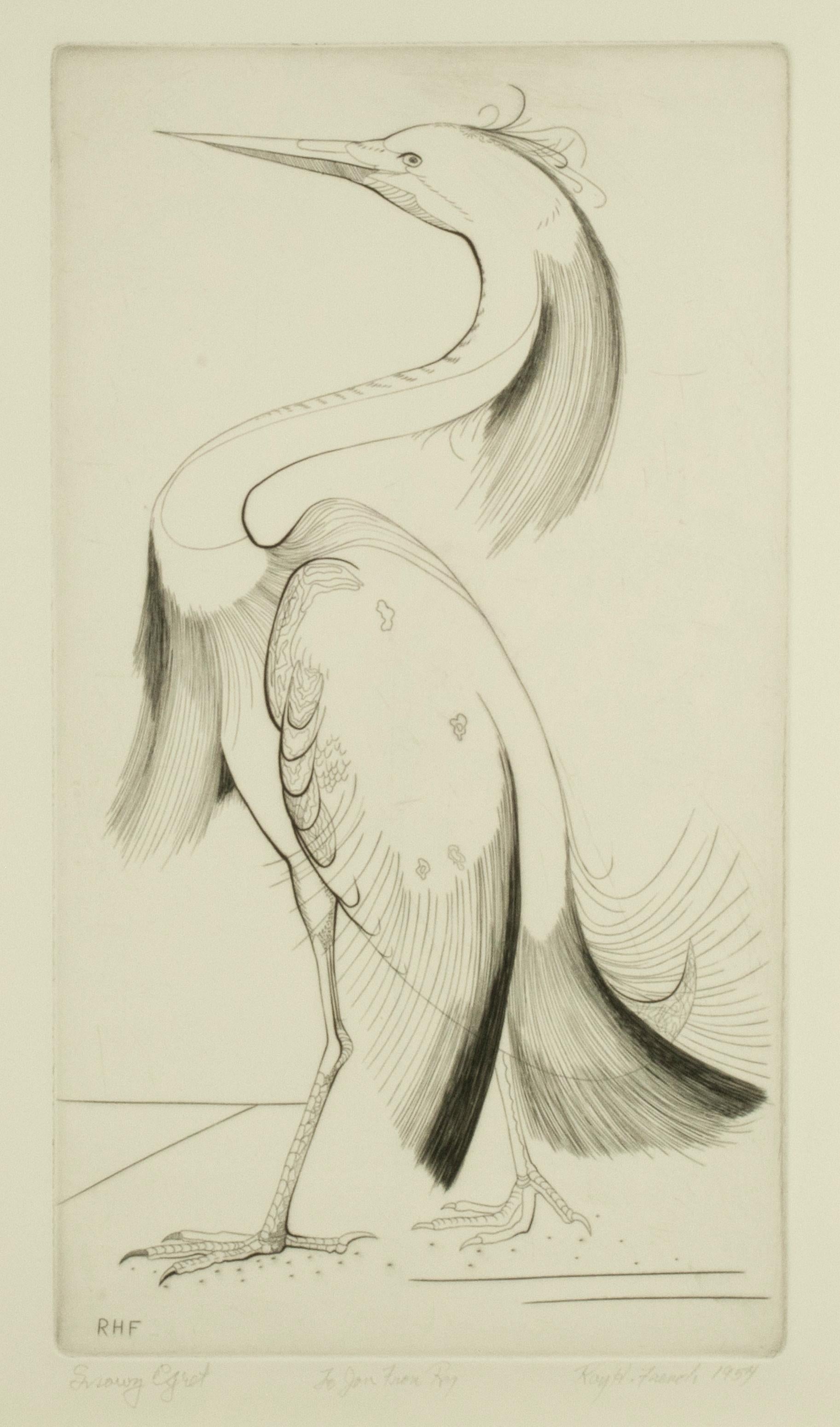 Ray H. French Animal Print – Schneewittscher Egret