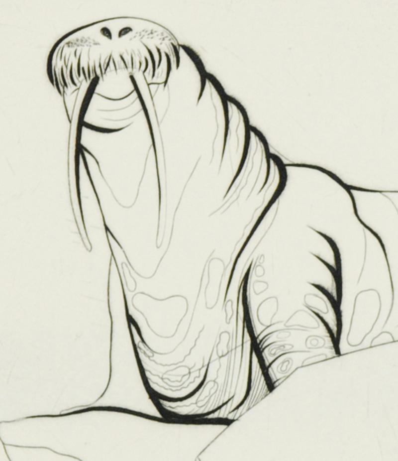 Walrösser – Print von Ray H. French