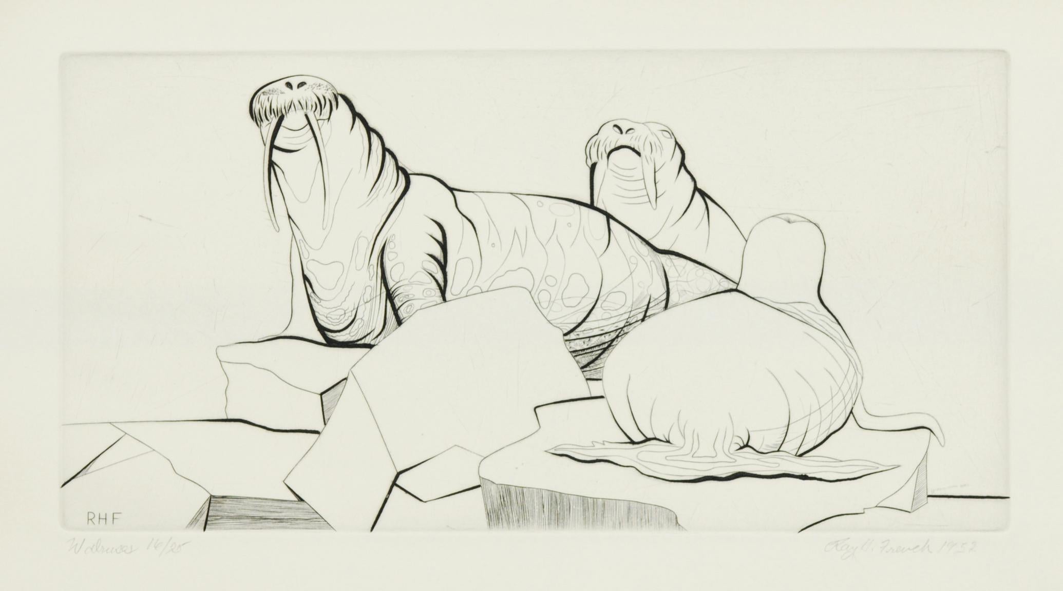 Ray H. French Animal Print – Walrösser