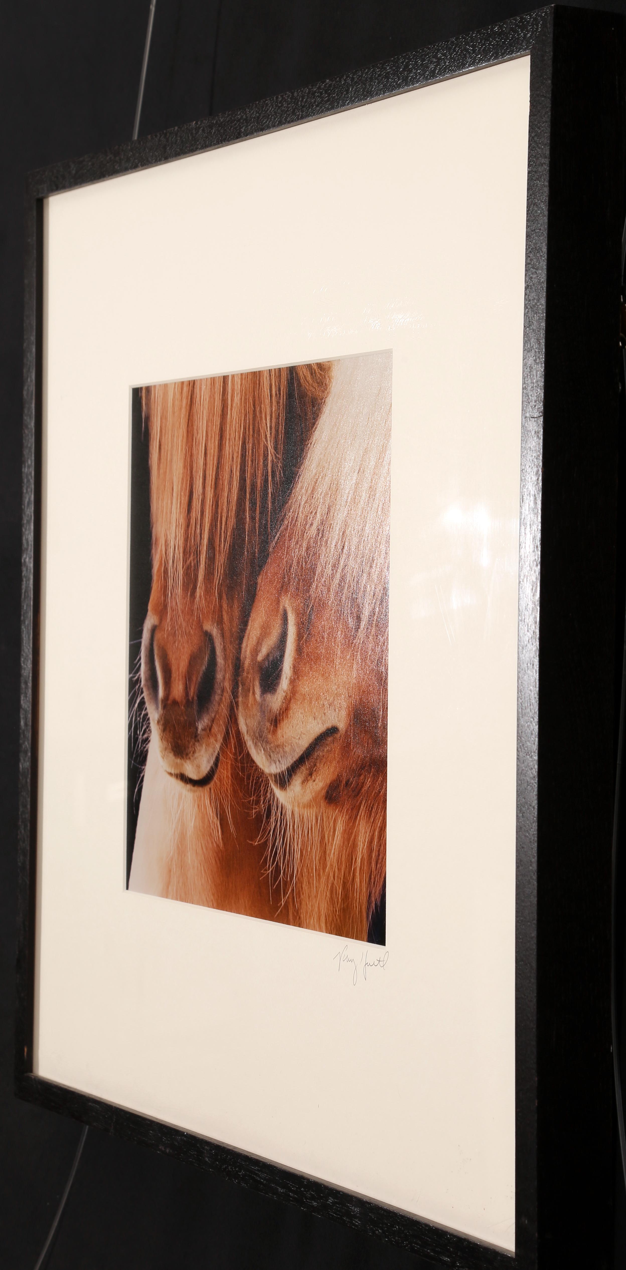 Ray Hartl
Equine Photograph #863
Color photograph
Framed Dimensions: 20 x 20 inches  (50.8 x 50.8 cm)
Image Dimensions: 10 1/2 x 10 1/2 inches  (26.7 x 26.7 cm)