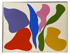 Ray Raymond Parker Signed and Number Color Field Screenprint