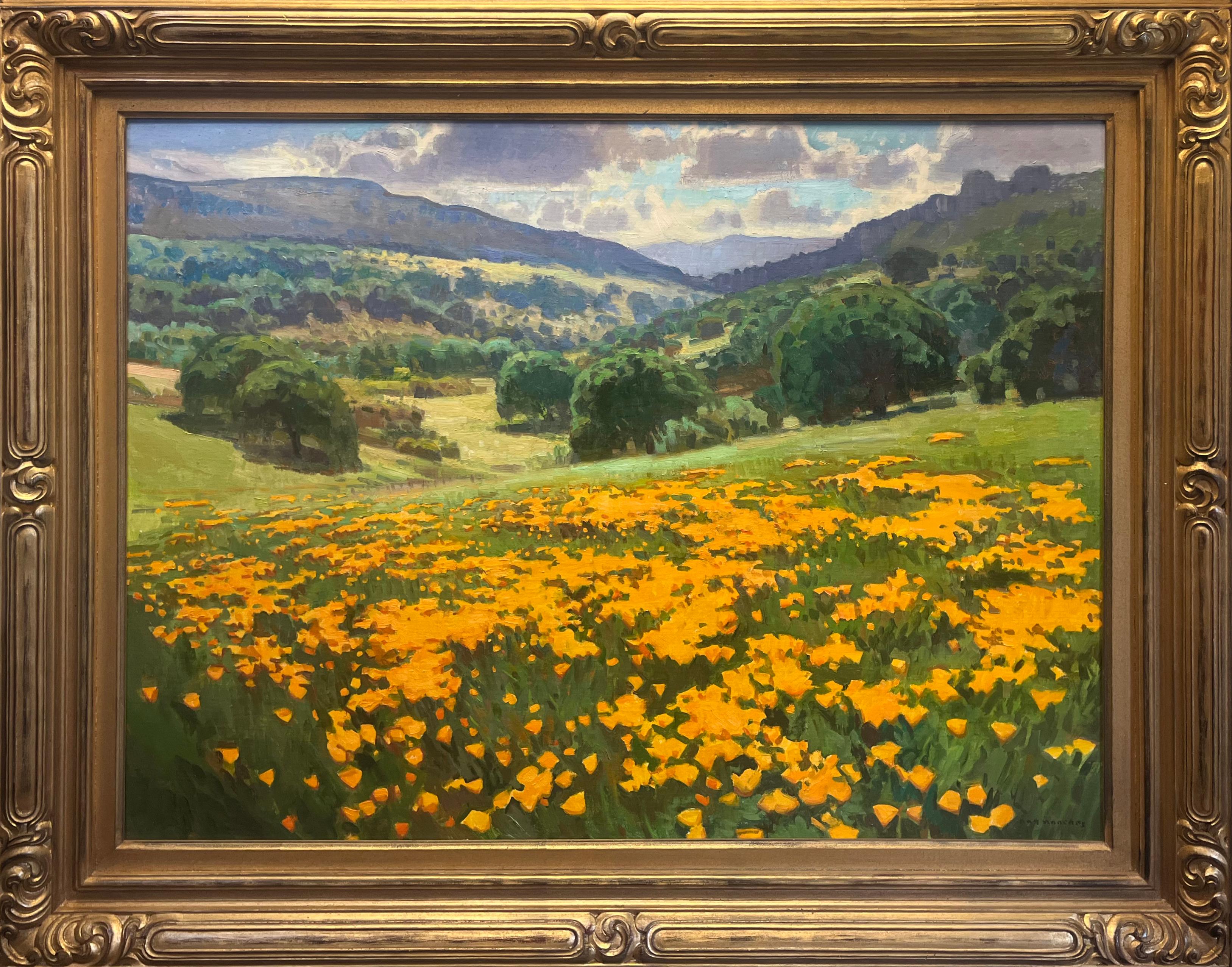 Golden Foothills; Carmel Valley