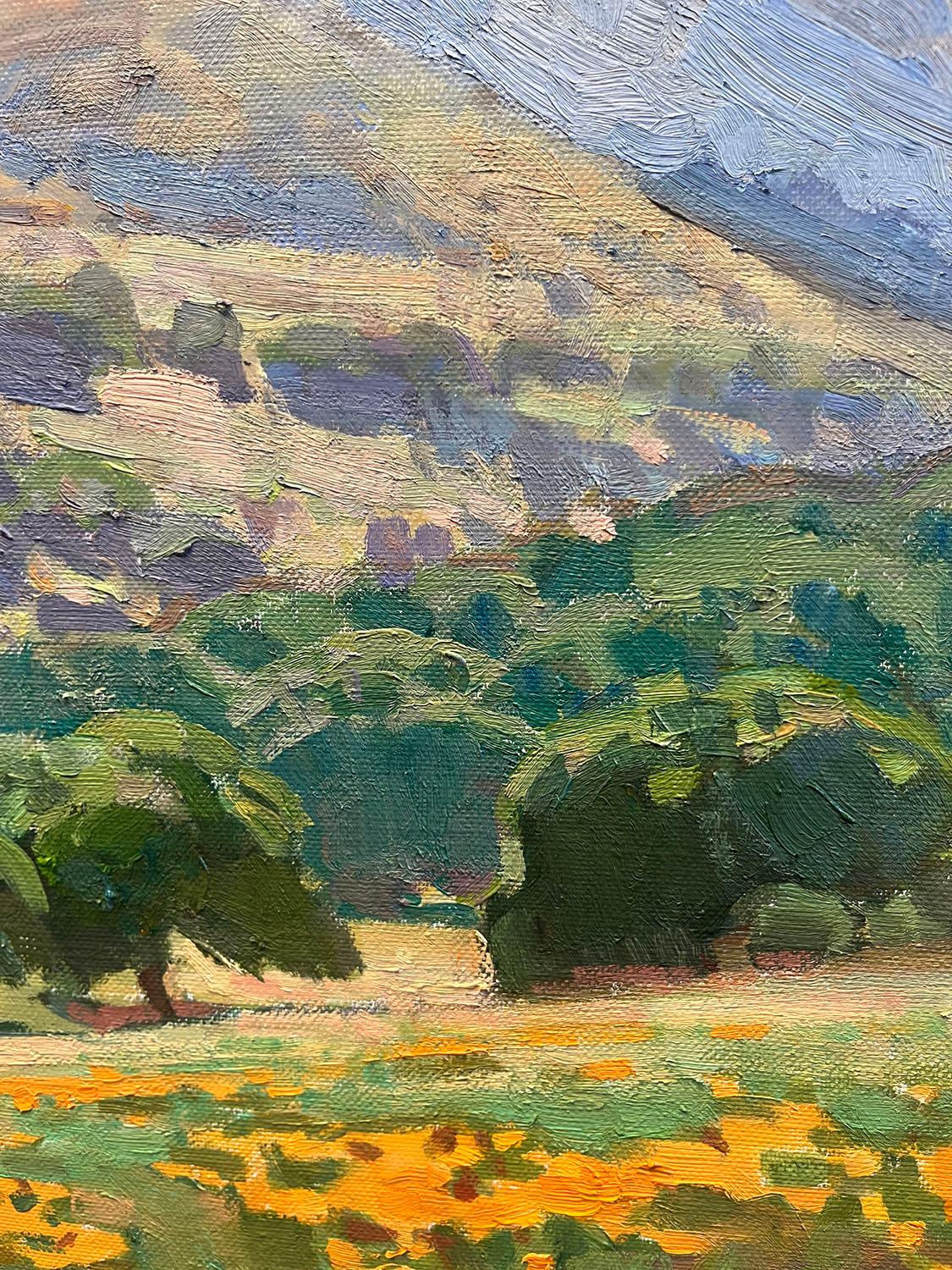 Poppies; Tejon Ranch, California For Sale 1