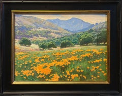 Poppies; Tejon Ranch, California