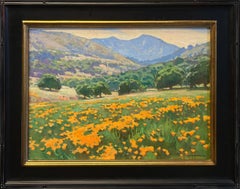 Ray Roberts - Amapolas; Rancho Tejón, California Amapolas; Rancho Tejón, California
