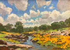 Sierra Creek; Copperopolis, California