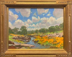 Sierra Creek; Copperopolis, California