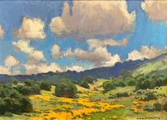 Spring Day; Carmel Valley