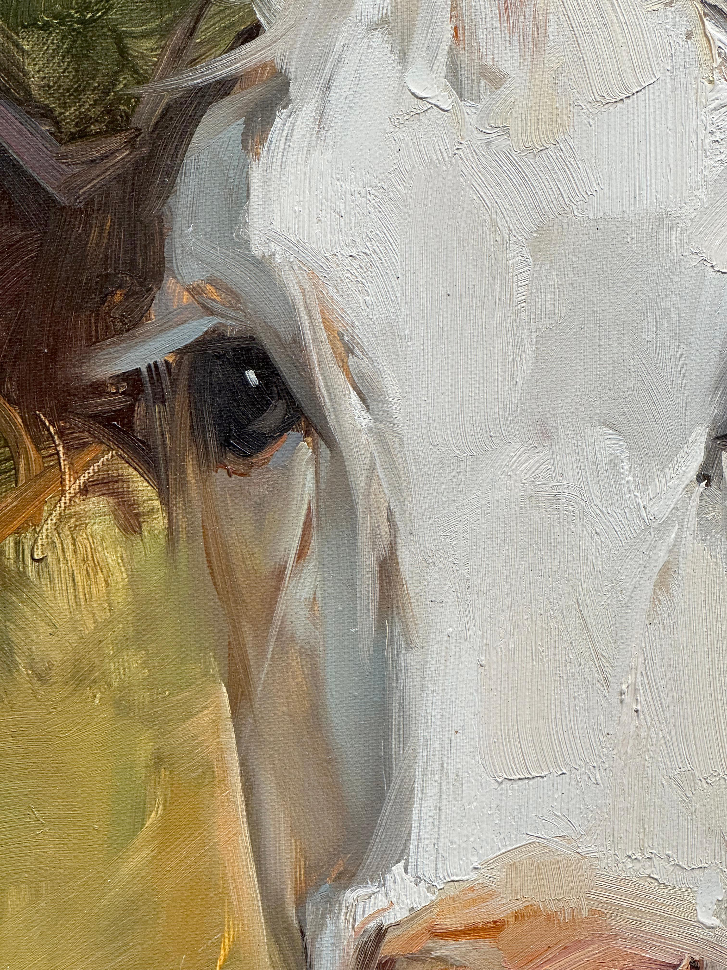 Ray Simonini, « Marine », peinture à l'huile impressionniste de portrait de vache Holstein 24x12 5