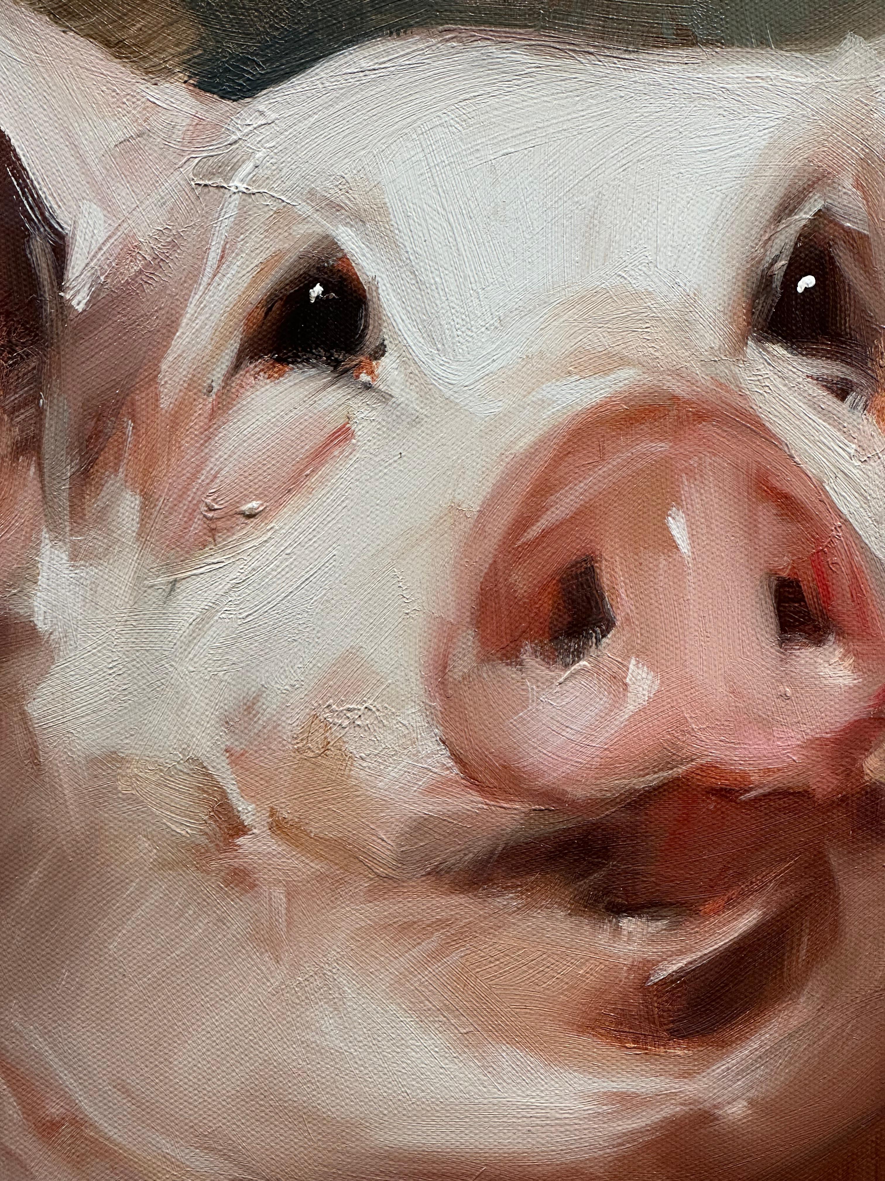 Ray Simonini, „Miranda“, Ölgemälde auf Leinwand, „Miranda“, 16x16, Farm Animal Pig, geschnittenes Ölgemälde im Angebot 5