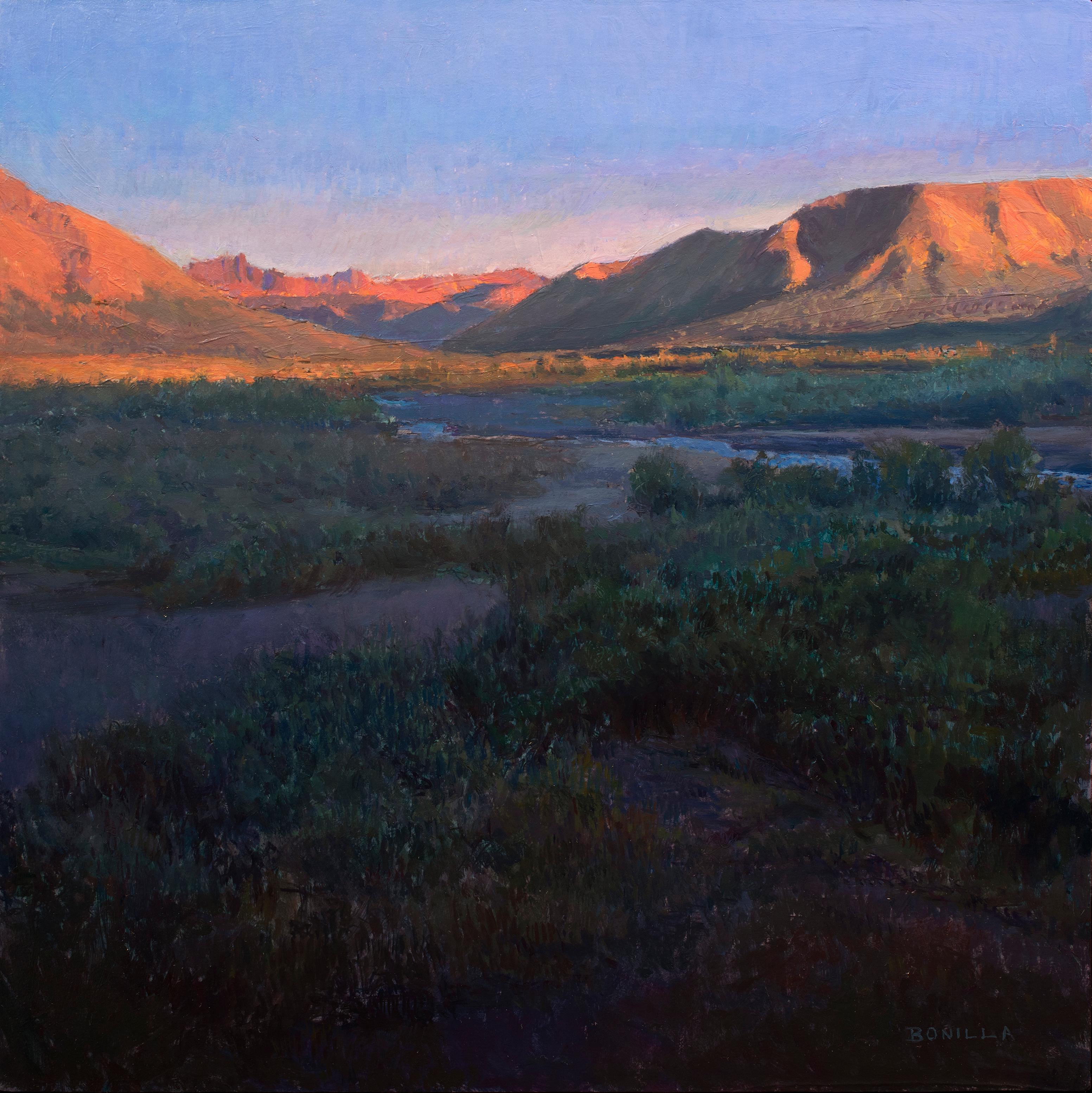 Raymond Bonilla Landscape Painting - Denali 