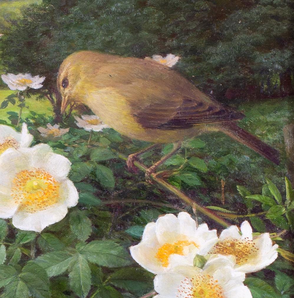 This is a stunning example of British 20th Century botanical artist Raymond Booth's work for a Willow Warbler bird perched on a Field Rose.  

Intensely private, and possessing an obsessive work ethic and passion for the natural world, Raymond Booth
