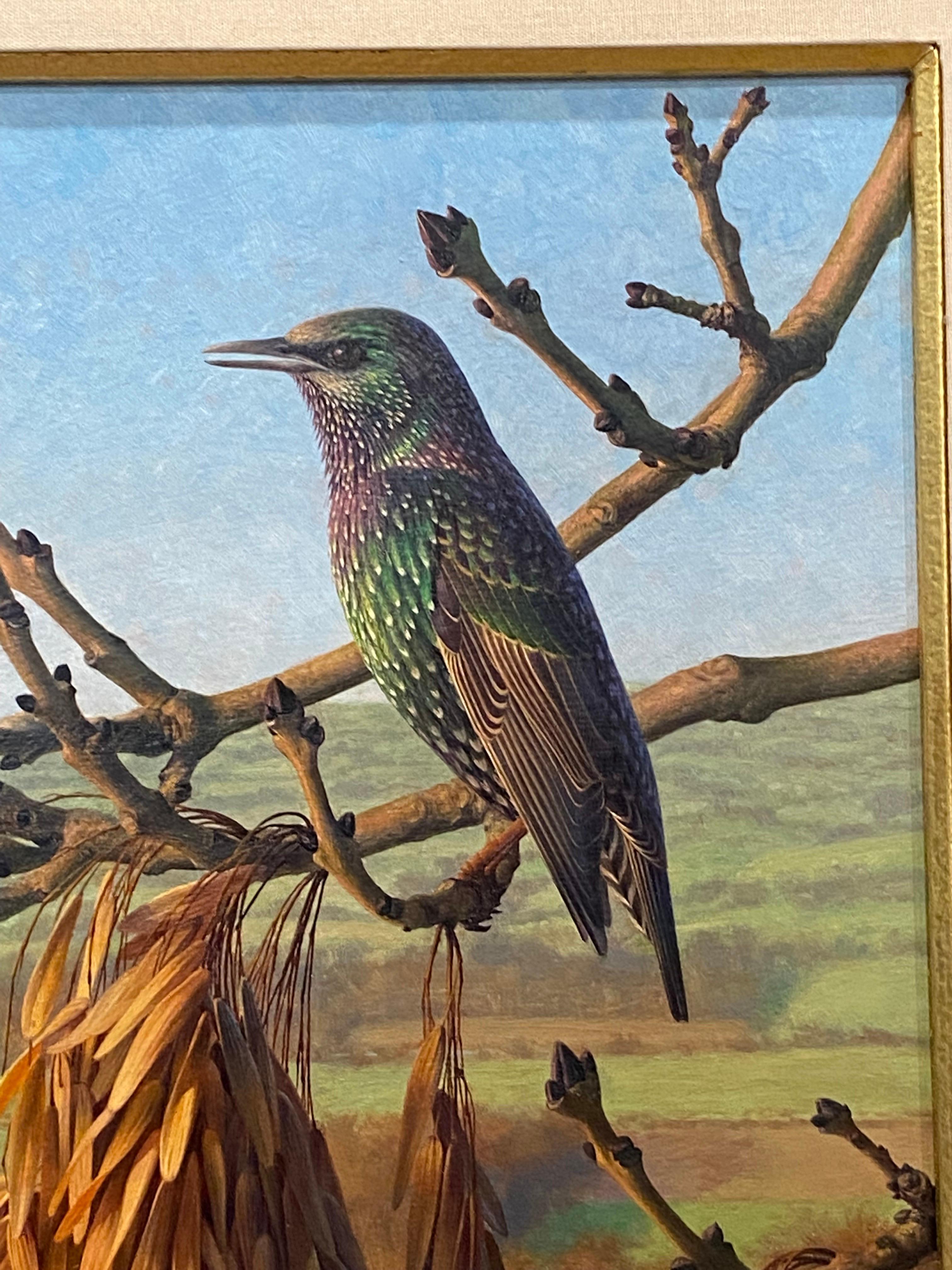 Raymond C. Boothe, ( Britisch, 1929-2015) Starlings in einer Winterlandschaft, 1976 (Ende des 20. Jahrhunderts) im Angebot