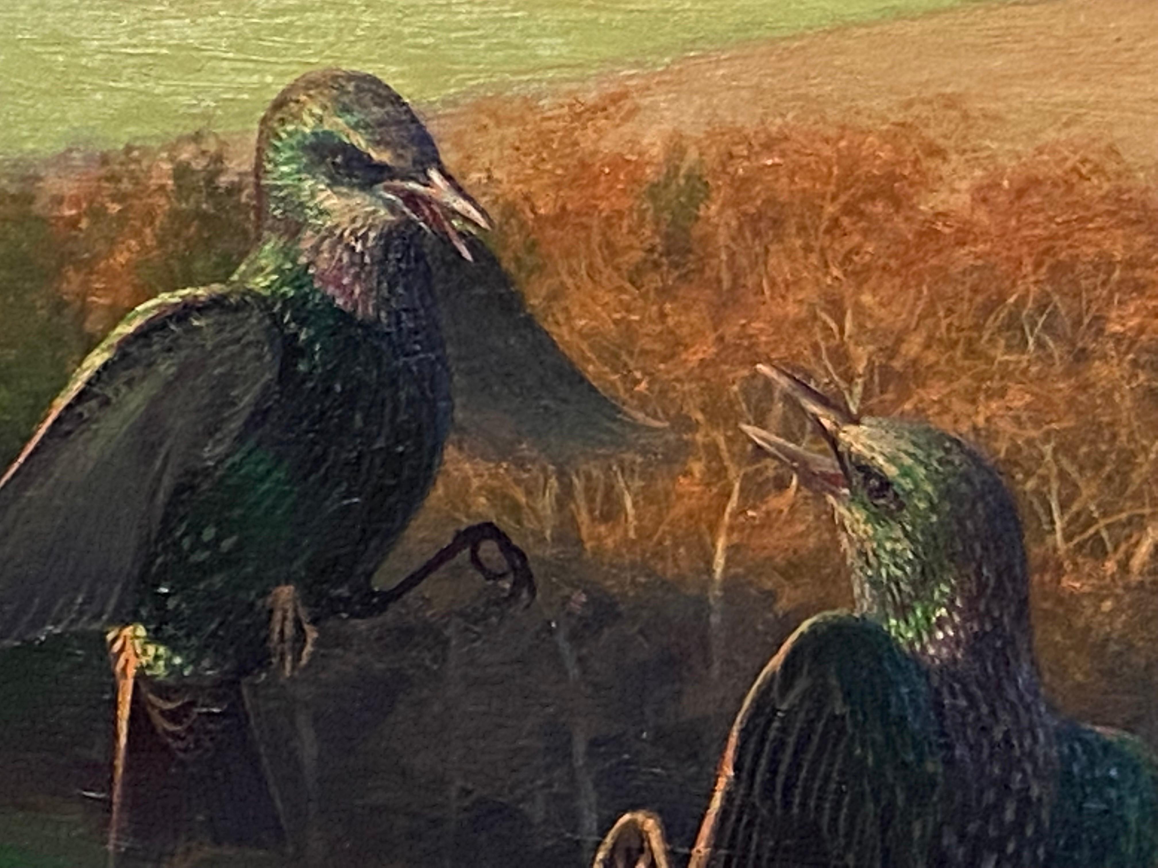Raymond C. Boothe, Starlings in a Winter Landscape, 1976 For Sale 1